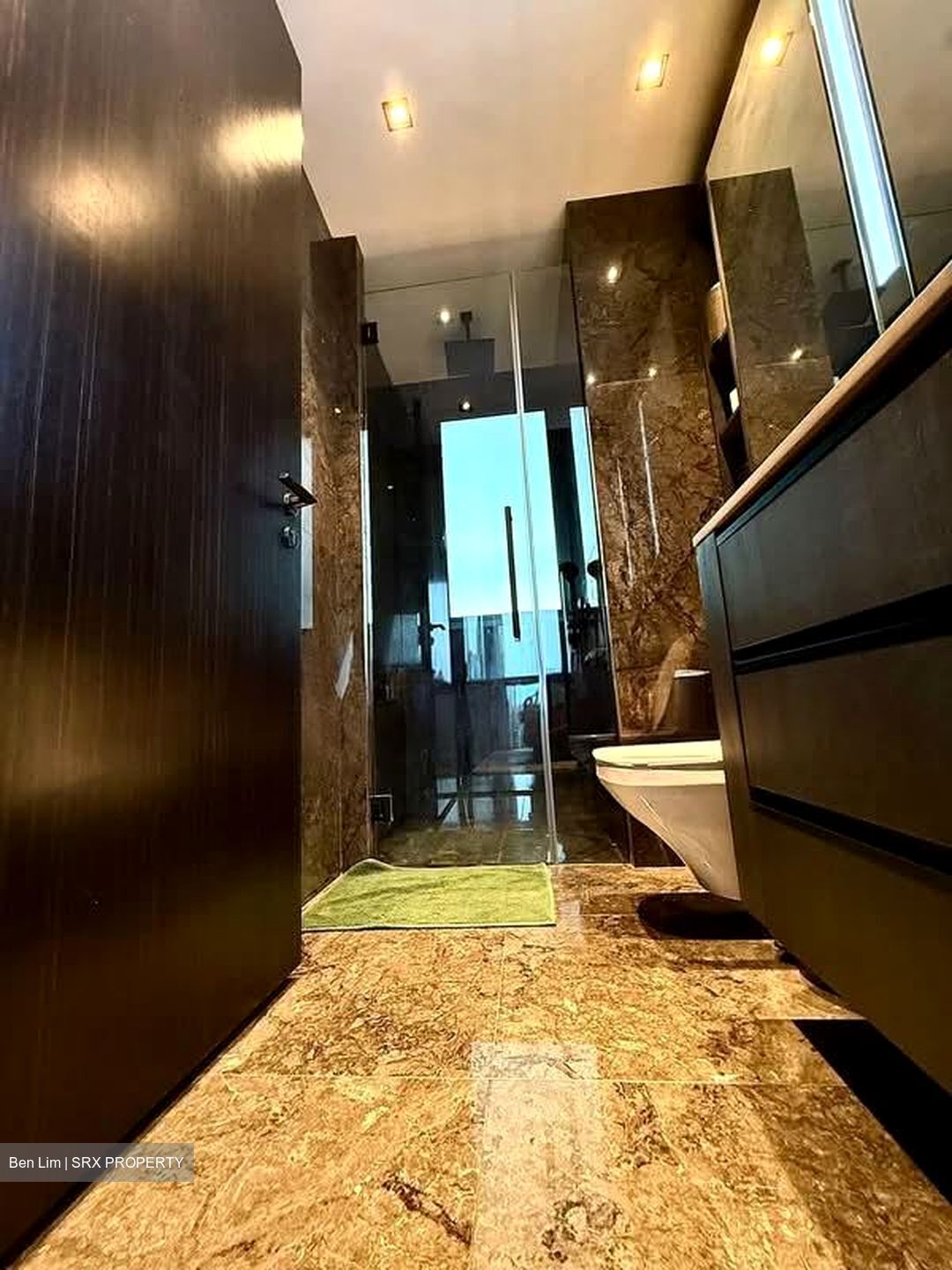 3 Cuscaden (D10), Apartment #573960551